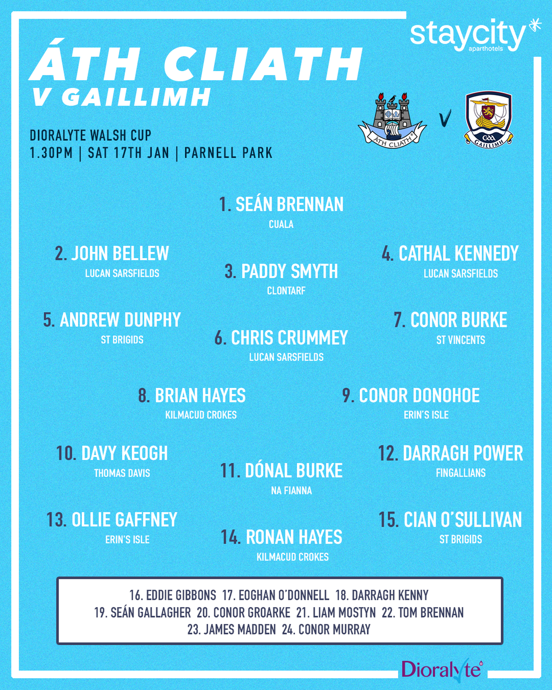 Dublin Senior Hurling panel Image