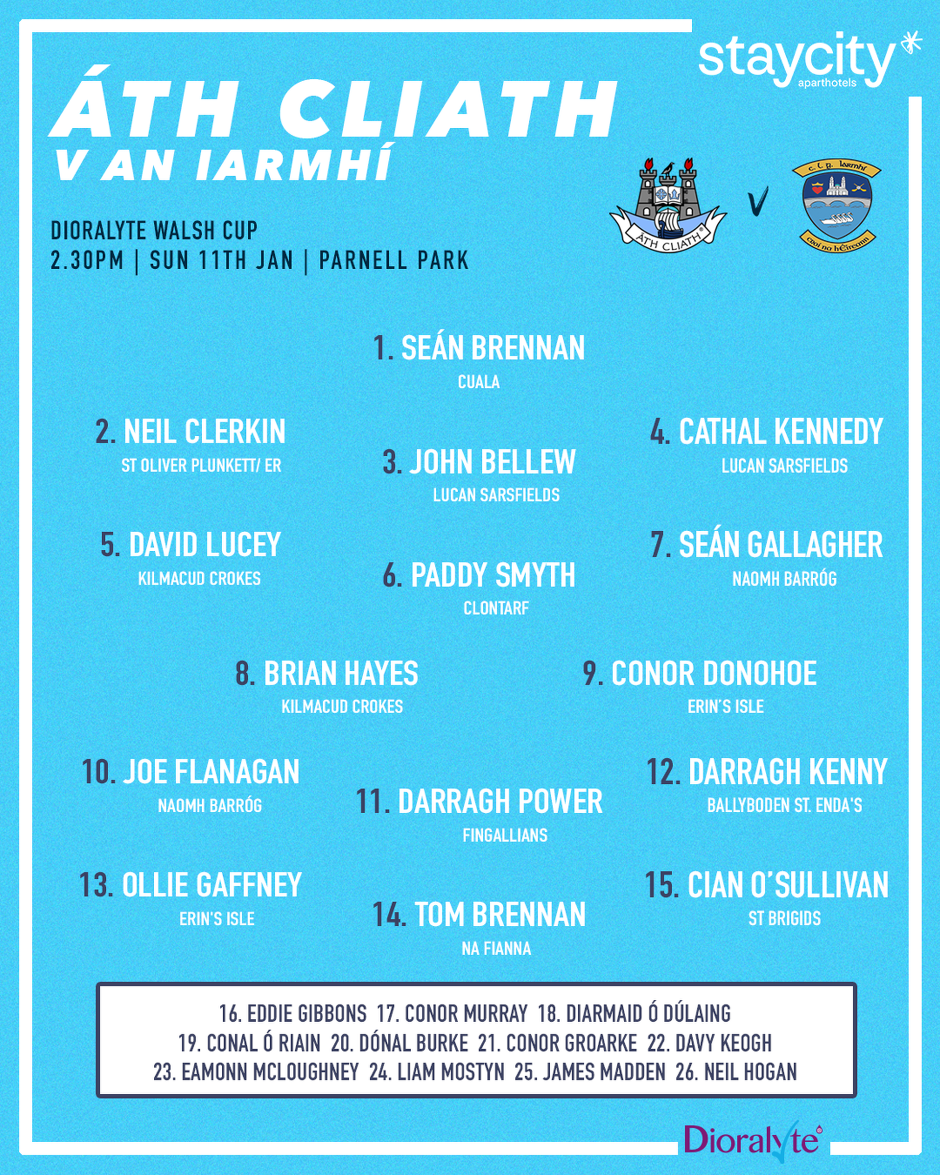 Dublin Senior Hurling panel Image
