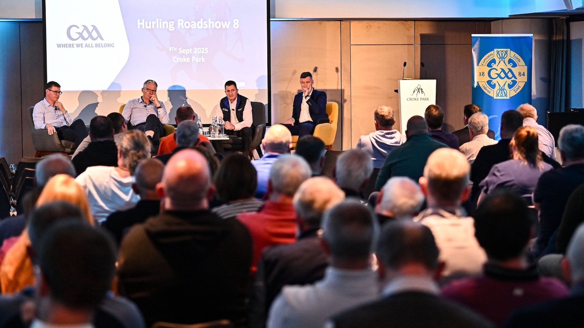 Hurling Development Committee Roadshow at Croke Park Image