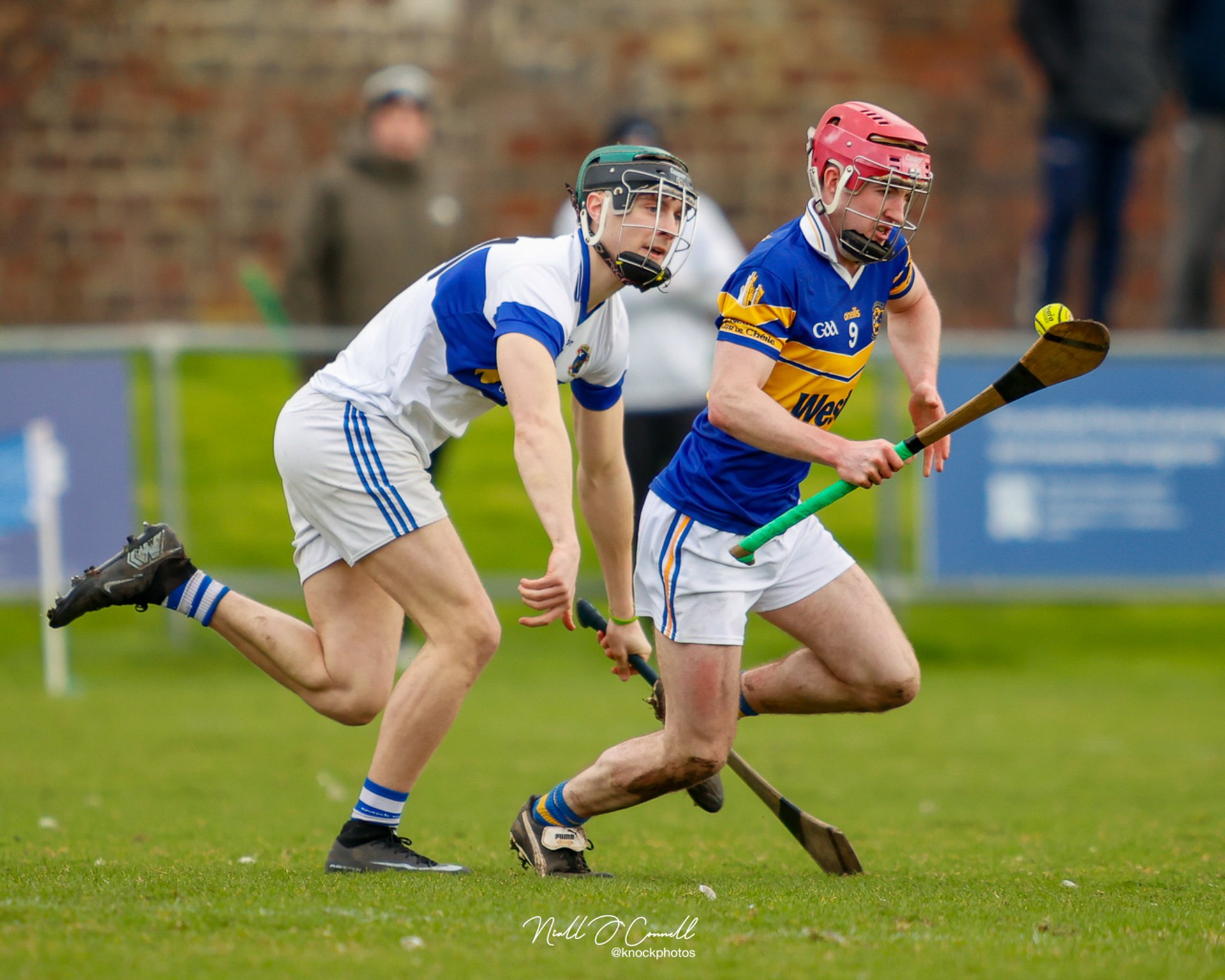 Image Courtesy Niall O'Connell Image