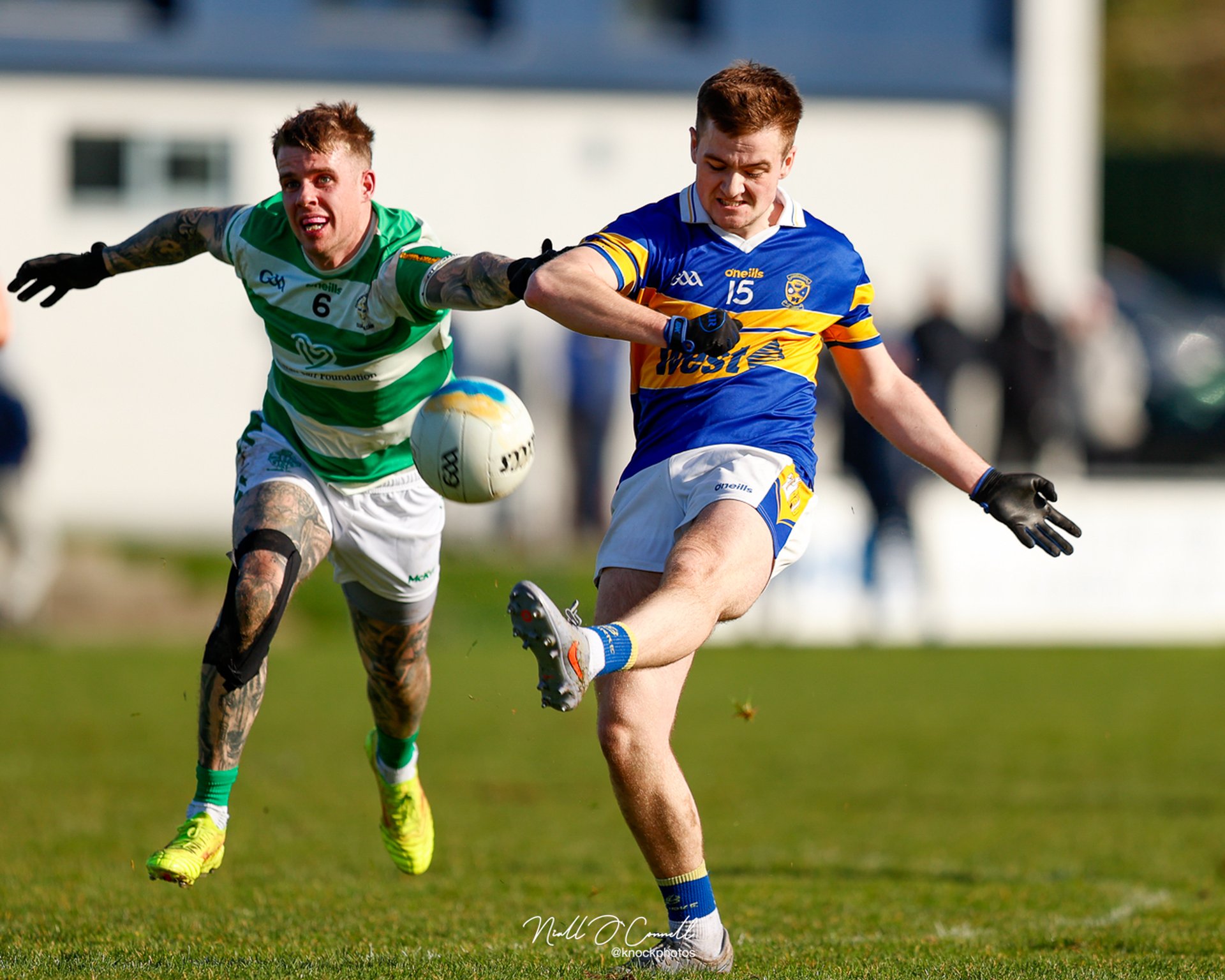 Image Courtesy Niall O'Connell Image