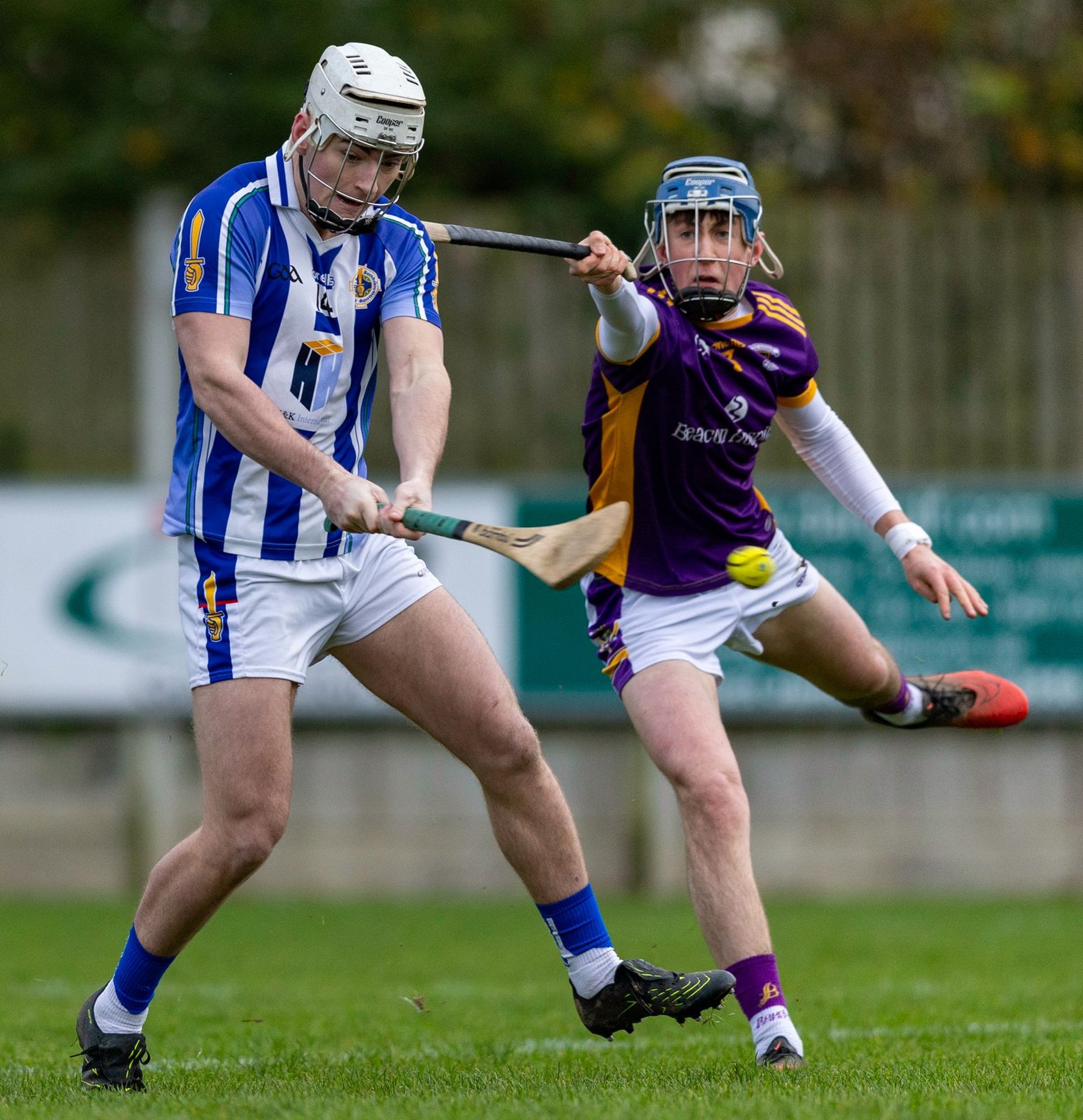 Image courtesy John Kirwan Image