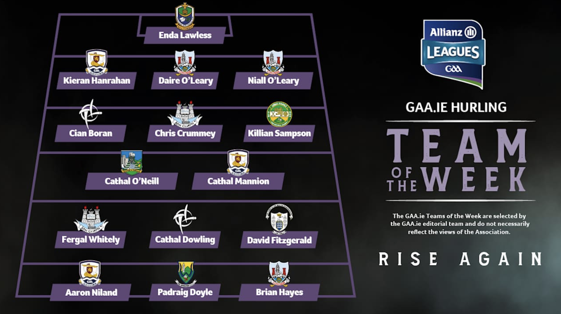 GAA Hurling Team of the week Image