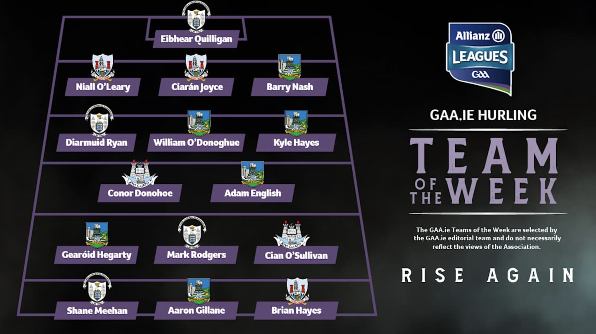 GAA Hurling Team of the week Image