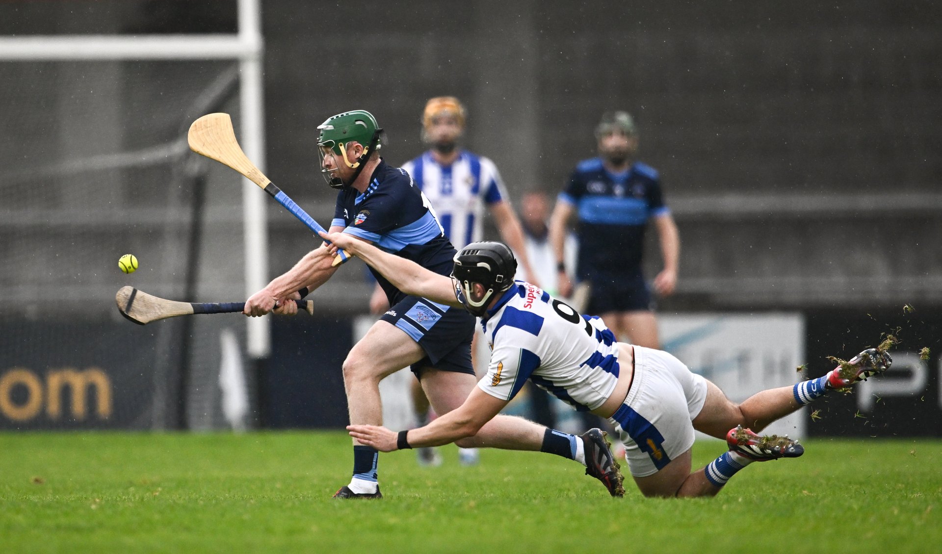 Image courtesy of Sportsfile Image